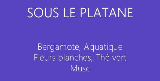 SOUS LE PLATANE