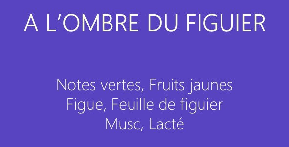 Les Provençales - Diffuseurs à bâtons 200 ml