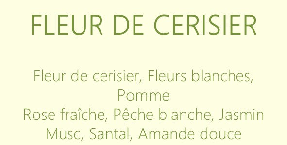 Les Florales - Diffuseurs à bâtons 100 ml