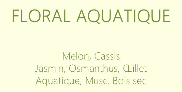 Les Florales - Diffuseurs à bâtons 100 ml