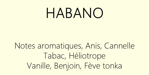 Les Boisées - Diffuseurs à bâtons 100 ml