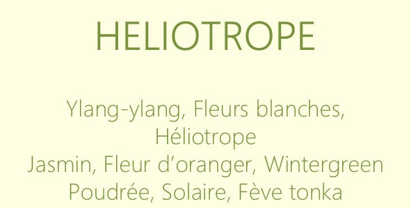 Les Florales - Bougies 100 ml
