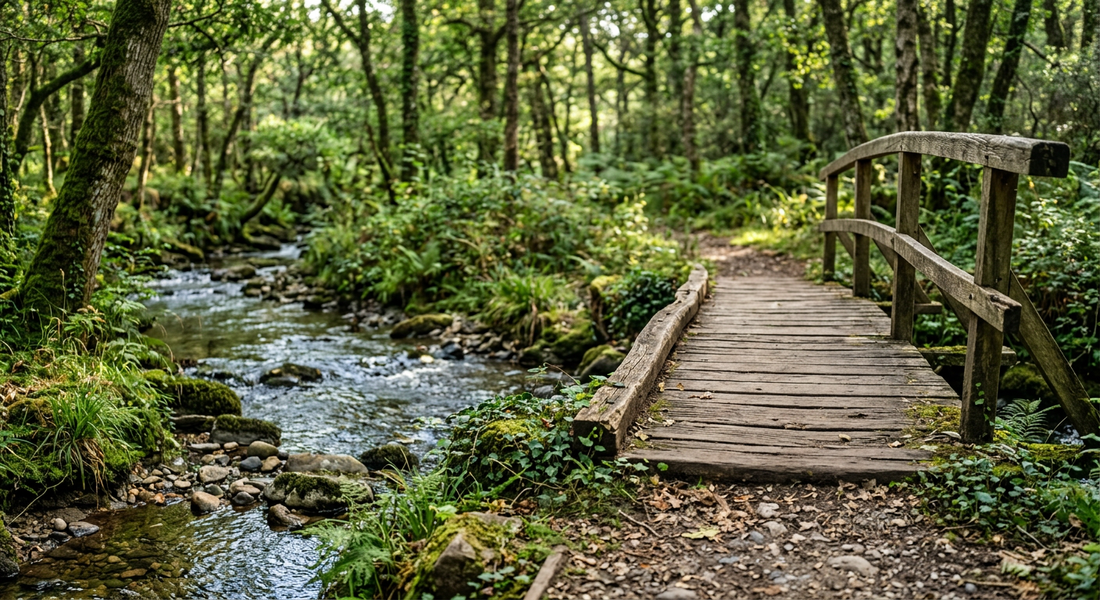 Parfumer sa maison au naturel : Guide des meilleures alternatives aux parfums synthétiques