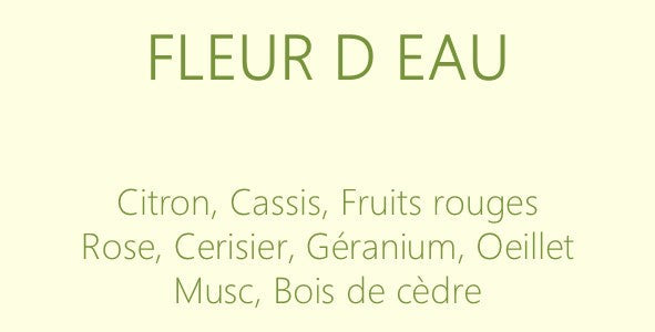Parfum Fleur d’eau : bougies parfumées et diffuseurs La Pernoise