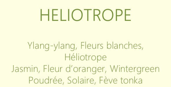 Parfum Héliotrope : bougies parfumées et diffuseurs La Pernoise