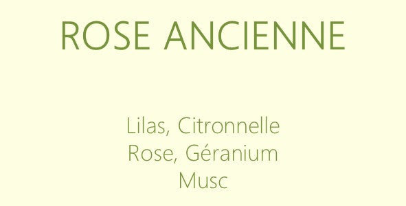 Parfum Rose ancienne : bougies parfumées et diffuseurs La Pernoise
