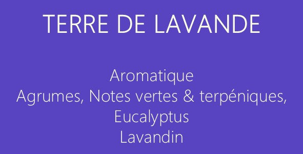 Parfum Terre de lavande : bougies parfumées et diffuseurs La Pernoise