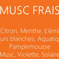 MUSC FRAIS