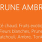 PRUNE AMBRE