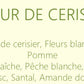 Les Florales - Bougies 750 ml
