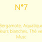 Bougie N°7 - Collection Ivoire