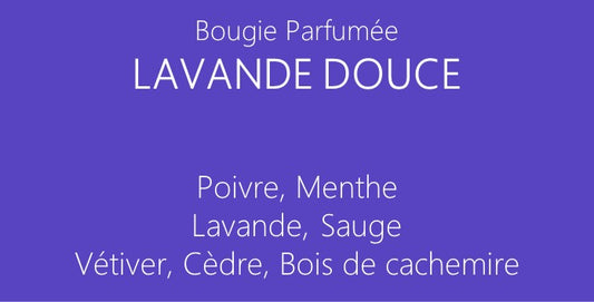 LAVANDE DOUCE