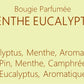 MENTHE EUCALYPTUS