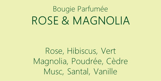 Bougies/Bougeoirs  Concept Store (Pernes-les-Fontaines